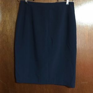 Navy Skirt
